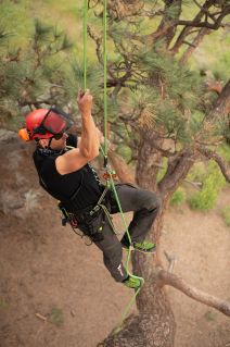 Curso de Trepa de árboles - Protocolo AATAAC - Estación Vertical - Muro de  escalada